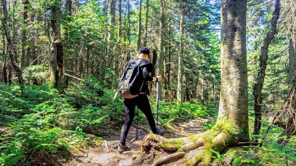 Les lanaudois encouragent Lanaudière
