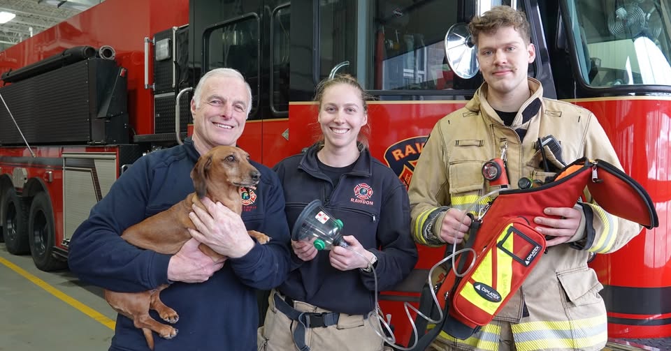 Rawdon : des masques &agrave; oxyg&egrave;ne pour animaux