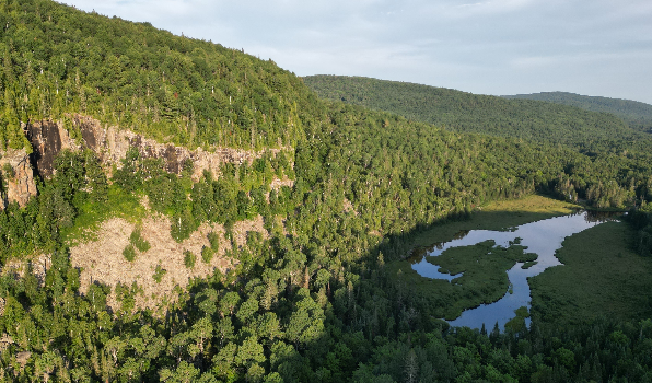 Nouvel organisme favorable à la bio-diversité